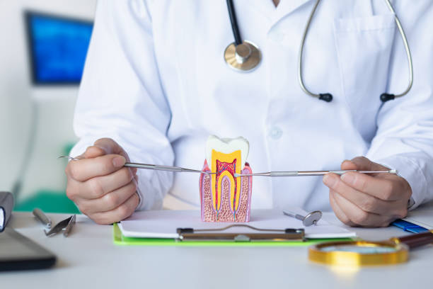 Best Emergency Wisdom Teeth Removal in Clemmons, NC